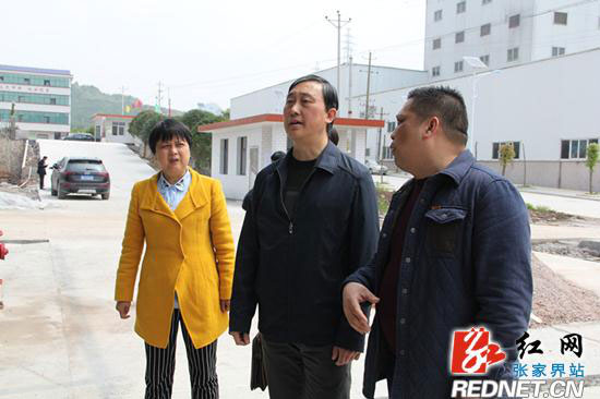 湖南中藥材種植,藥品批發,湖南神舟中藥飲片有限公司